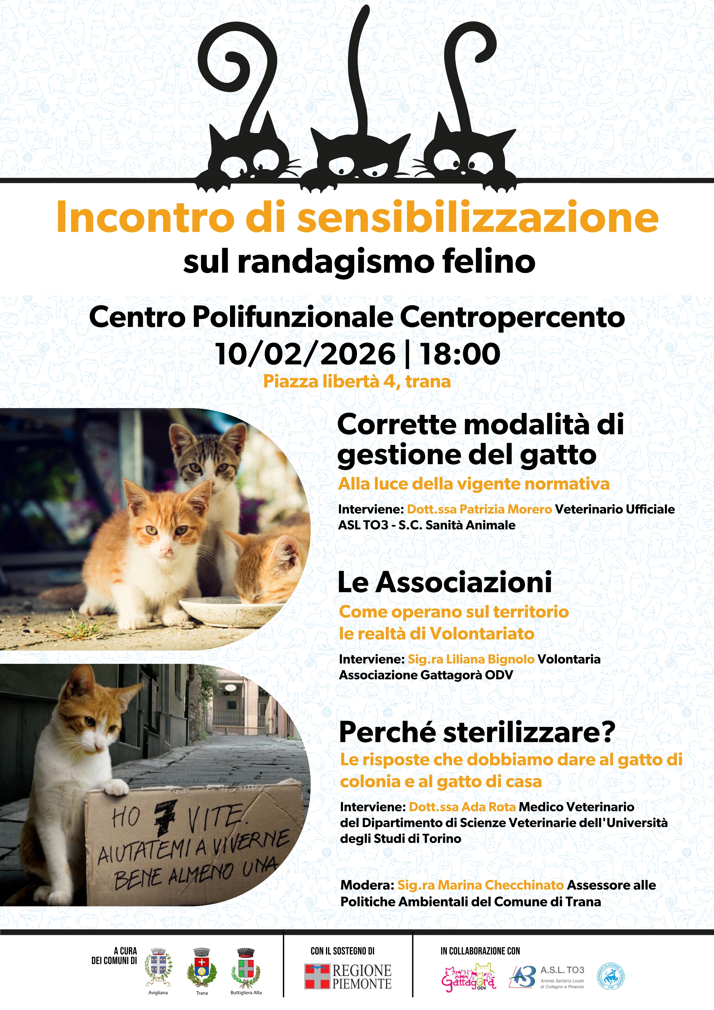 Incontro di sensibilizzazione sul randagismo felino