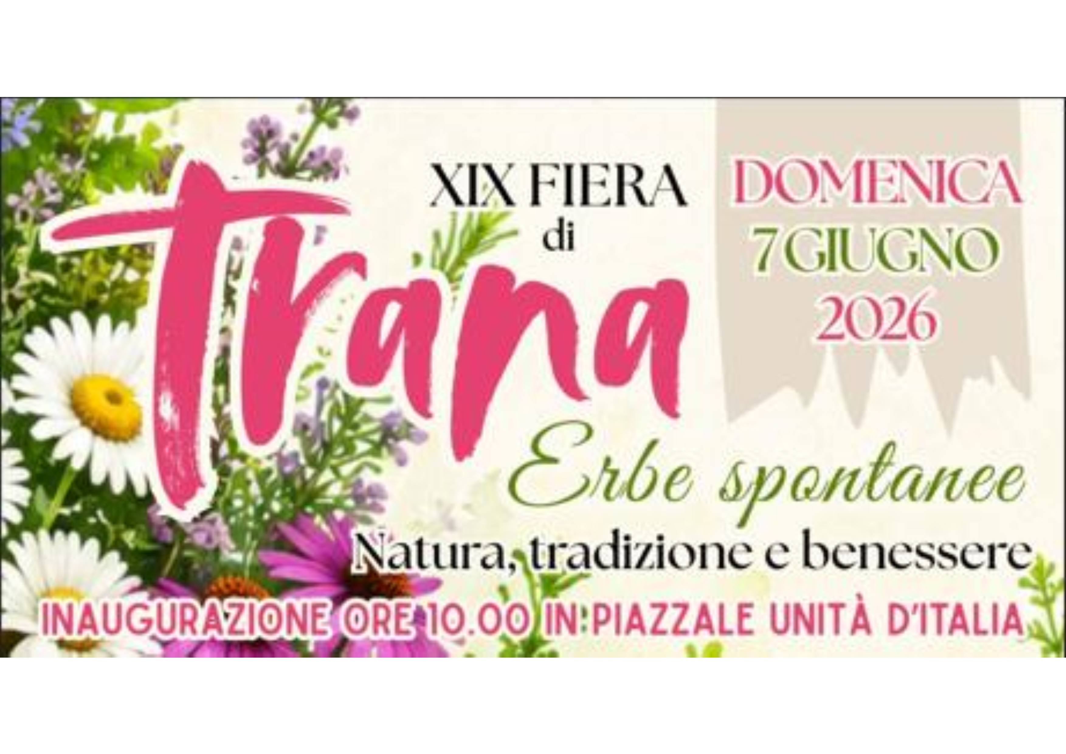 XlX Fiera di Trana