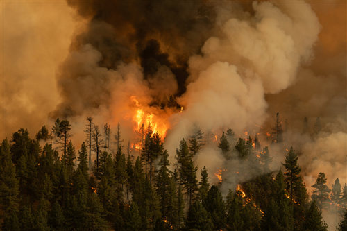 Allerta stato di massima pericolosità per incendi boschivi