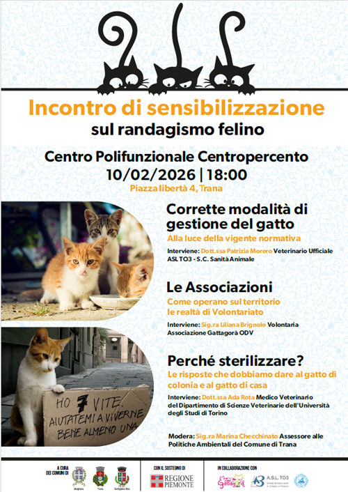 Incontro di sensibilizzazione sul randagismo felino