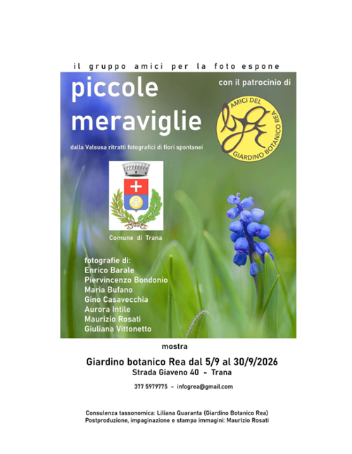 Evento "Piccole meraviglie"