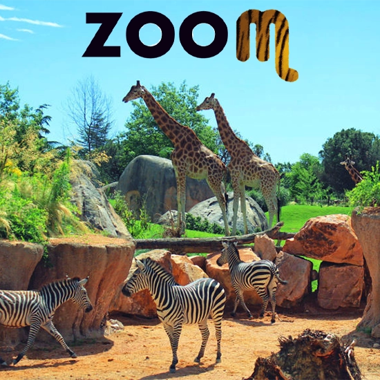 Ingresso serale gratuito al Bioparco Zoom per i residenti